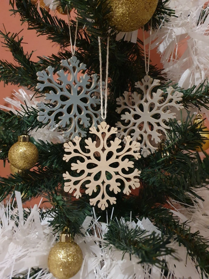 flocon blanc.webp