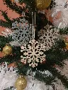 flocon blanc.webp