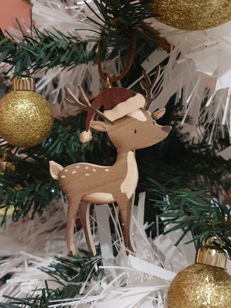 Reindeer